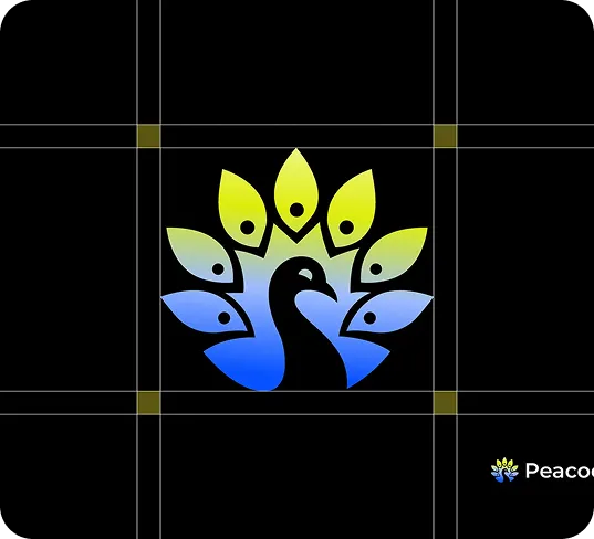 Custom Logo Design