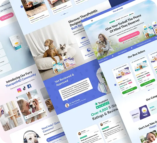 Store Optimization