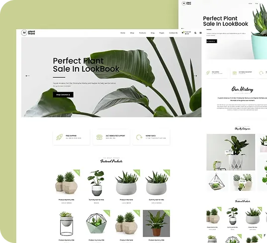 Shopify Store