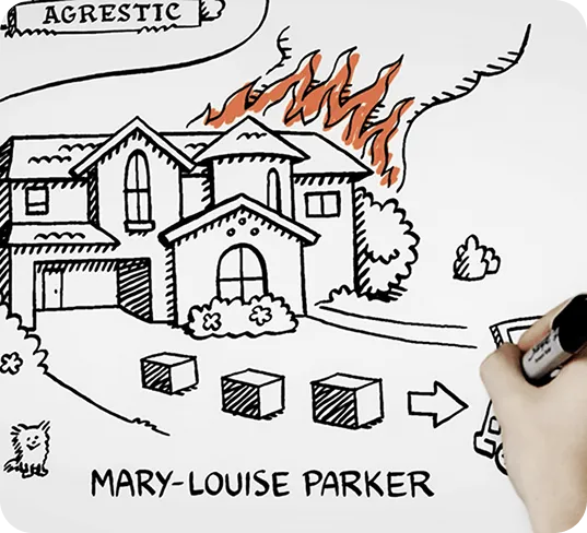 Whiteboard Animation